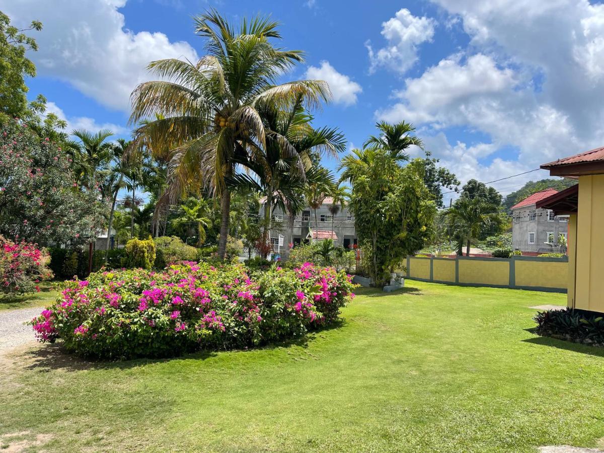 Little Shaw Park Guest House Ocho Ríos Exterior foto