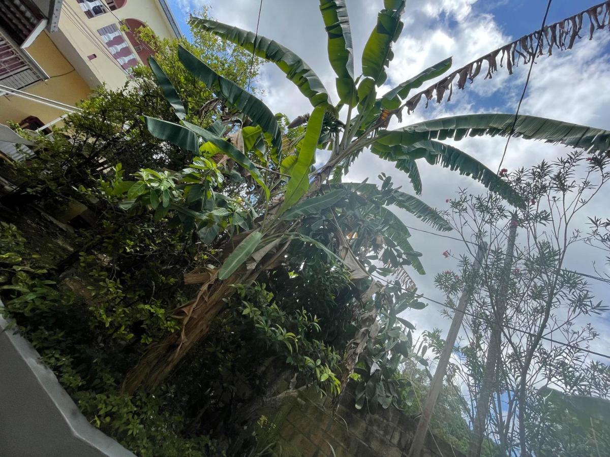 Little Shaw Park Guest House Ocho Ríos Exterior foto