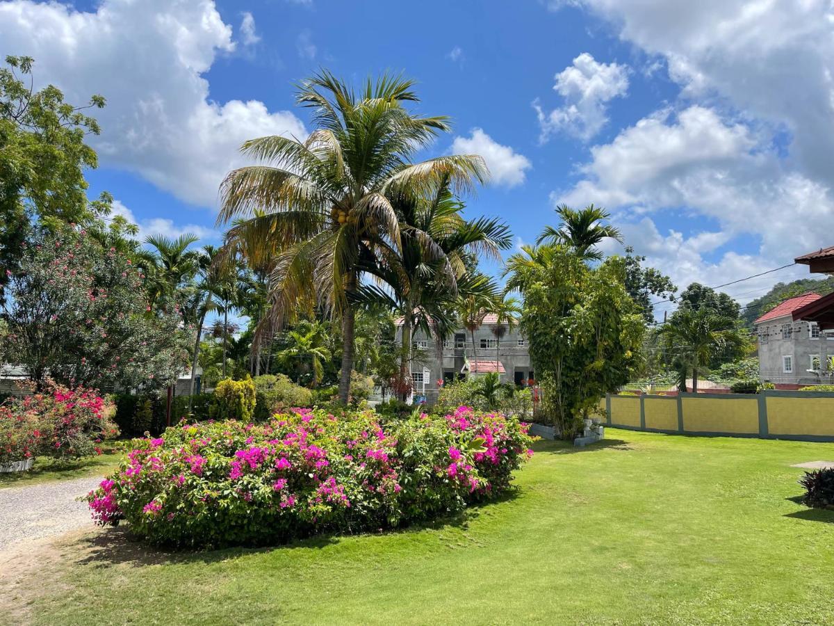 Little Shaw Park Guest House Ocho Ríos Exterior foto
