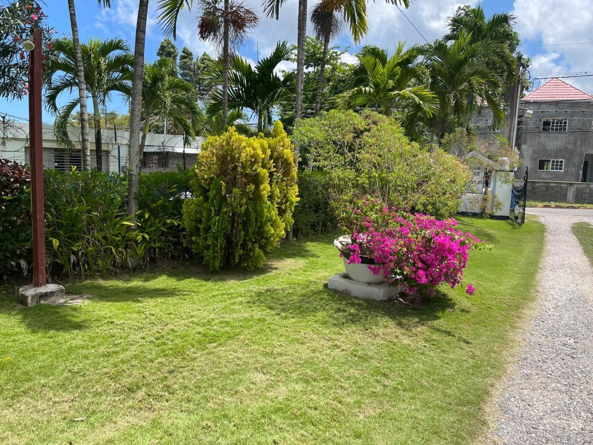 Little Shaw Park Guest House Ocho Ríos Exterior foto